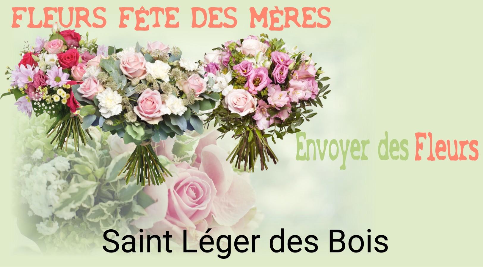 Bouquet de Fête des Mères livré à Saint-Léger-des-Bois